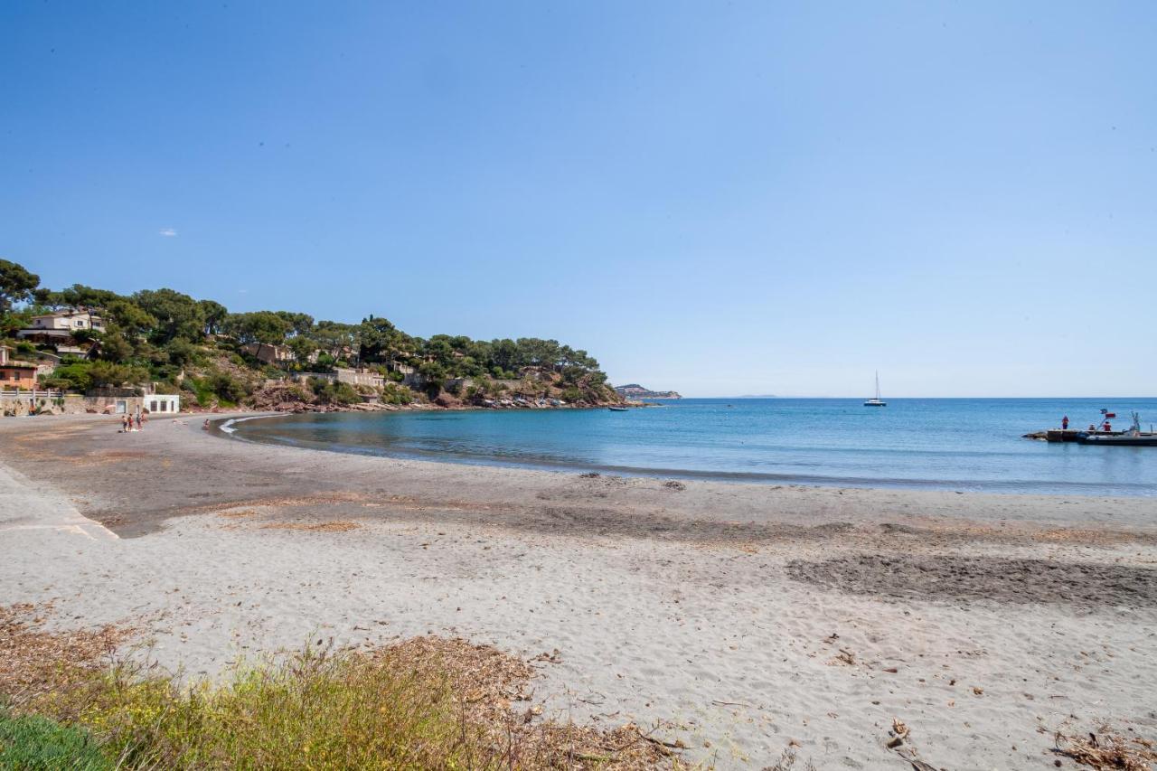 T2 - La Seyne Sur Mer - Fabregas Εξωτερικό φωτογραφία