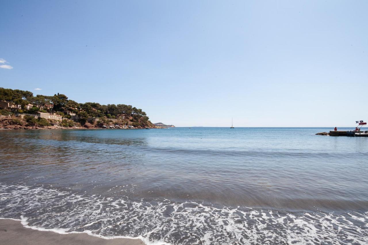 T2 - La Seyne Sur Mer - Fabregas Εξωτερικό φωτογραφία